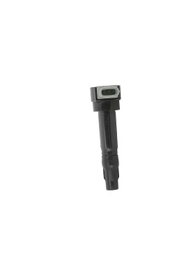 Picture of Ignition Coil - BorgWarner (BERU) - ZS547