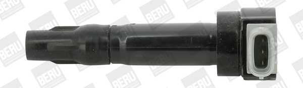 Picture of Ignition Coil - BorgWarner (BERU) - ZS547