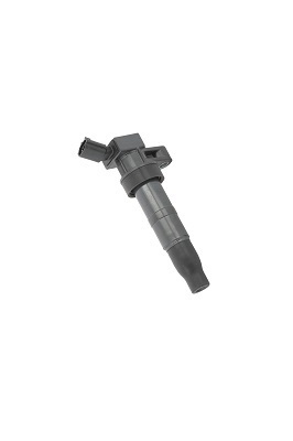 Picture of Ignition Coil - BorgWarner (BERU) - ZS548