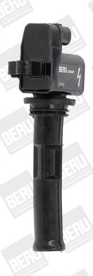 Picture of Ignition Coil - BorgWarner (BERU) - ZS549