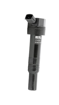Picture of Ignition Coil - BorgWarner (BERU) - ZS550
