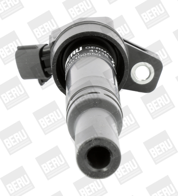 Picture of Ignition Coil - BorgWarner (BERU) - ZS550