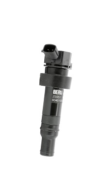 Picture of Ignition Coil - BorgWarner (BERU) - ZS551