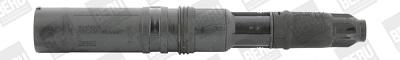 Picture of Ignition Coil - BorgWarner (BERU) - ZS552