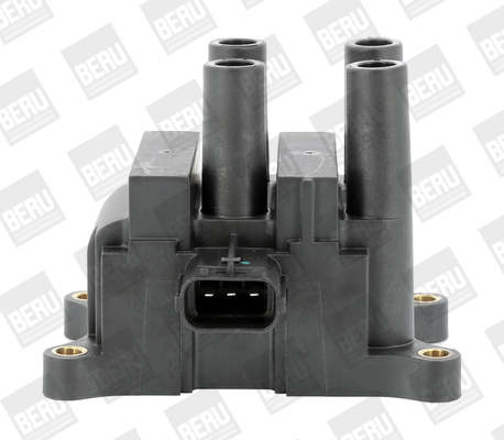 Picture of Ignition Coil - BorgWarner (BERU) - ZS556