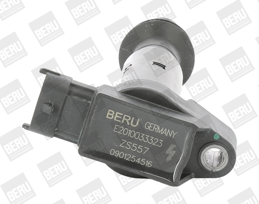 Picture of Ignition Coil - BorgWarner (BERU) - ZS557