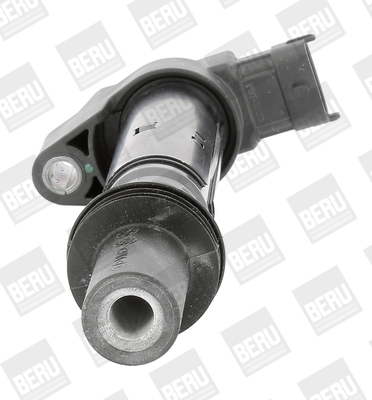 Picture of Ignition Coil - BorgWarner (BERU) - ZS557