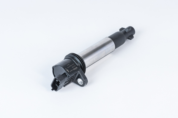 Picture of Ignition Coil - BorgWarner (BERU) - ZS558