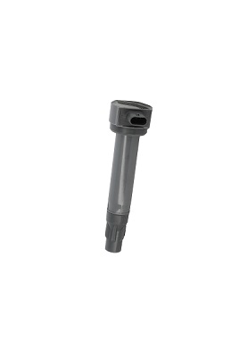 Picture of Ignition Coil - BorgWarner (BERU) - ZS562