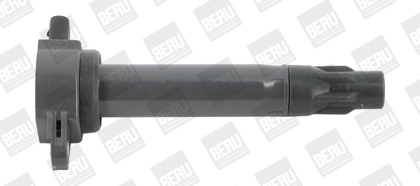 Picture of Ignition Coil - BorgWarner (BERU) - ZS562