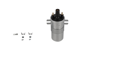 Picture of Ignition Coil - BorgWarner (BERU) - ZS563