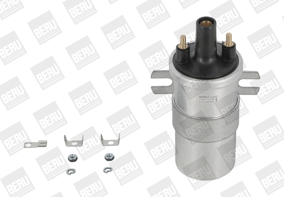 Picture of Ignition Coil - BorgWarner (BERU) - ZS563