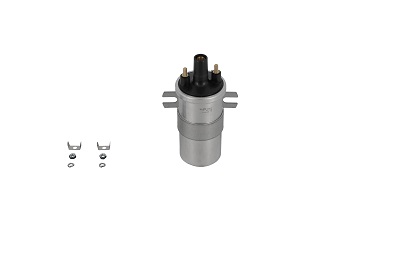 Picture of Ignition Coil - BorgWarner (BERU) - ZS564