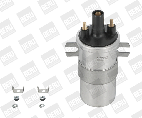 Picture of Ignition Coil - BorgWarner (BERU) - ZS564