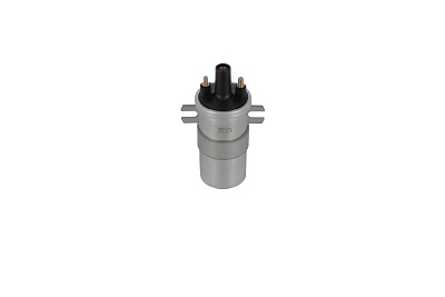 Picture of Ignition Coil - BorgWarner (BERU) - ZS565