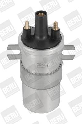 Picture of Ignition Coil - BorgWarner (BERU) - ZS565