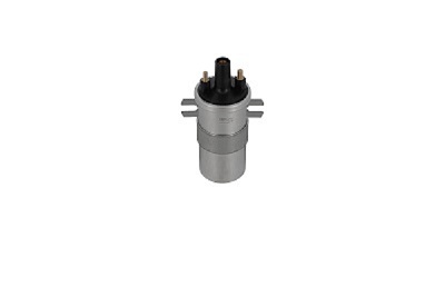 Picture of Ignition Coil - BorgWarner (BERU) - ZS566