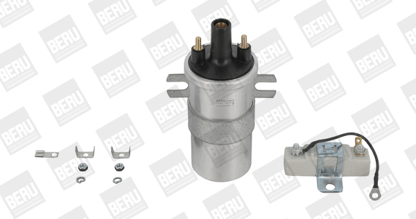 Picture of Ignition Coil - BorgWarner (BERU) - ZS567