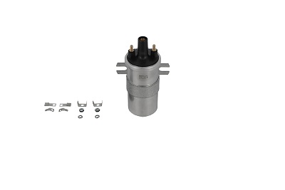 Picture of Ignition Coil - BorgWarner (BERU) - ZS568