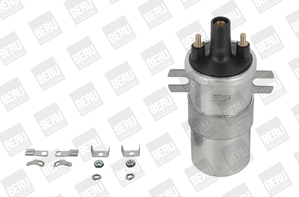 Picture of Ignition Coil - BorgWarner (BERU) - ZS568