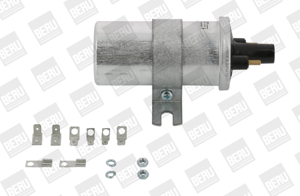 Picture of Ignition Coil - BorgWarner (BERU) - ZS569