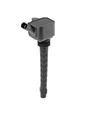Picture of Ignition Coil - BorgWarner (BERU) - ZS573