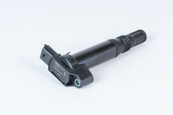 Picture of Ignition Coil - BorgWarner (BERU) - ZS574