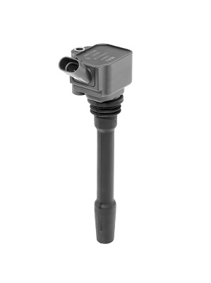 Picture of Ignition Coil - BorgWarner (BERU) - ZS587