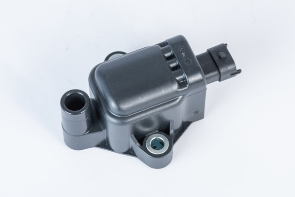Picture of Ignition Coil - BorgWarner (BERU) - ZS593