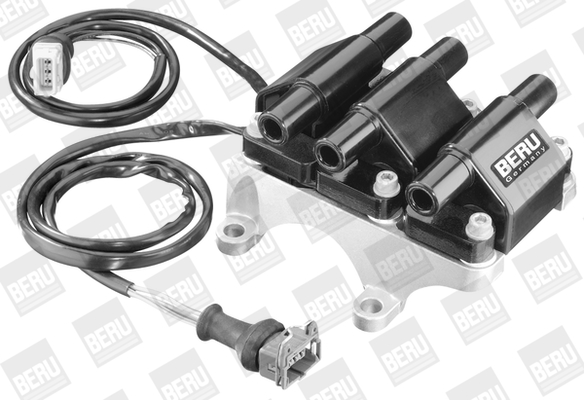Picture of Ignition Coil - BorgWarner (BERU) - ZSE008
