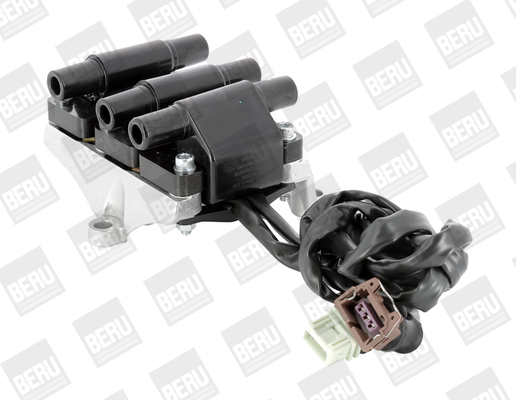 Picture of Ignition Coil - BorgWarner (BERU) - ZSE007