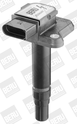 Picture of Ignition Coil - BorgWarner (BERU) - ZSE009