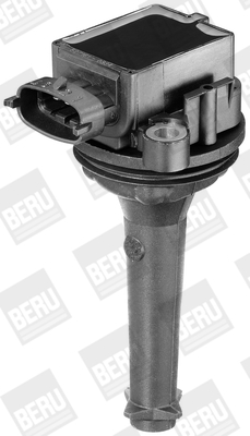 Picture of Ignition Coil - BorgWarner (BERU) - ZSE019