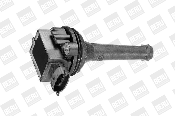Picture of Ignition Coil - BorgWarner (BERU) - ZSE019
