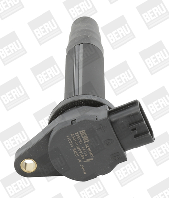 Picture of Ignition Coil - BorgWarner (BERU) - ZSE021