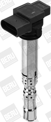 Picture of Ignition Coil - BorgWarner (BERU) - ZSE031