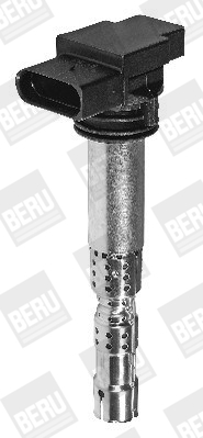 Picture of Ignition Coil - BorgWarner (BERU) - ZSE031