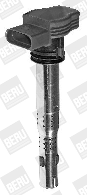 Picture of Ignition Coil - BorgWarner (BERU) - ZSE032