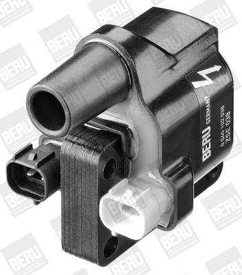 Picture of Ignition Coil - BorgWarner (BERU) - ZSE038