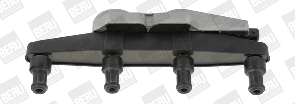 Picture of Ignition Coil - BorgWarner (BERU) - ZSE039