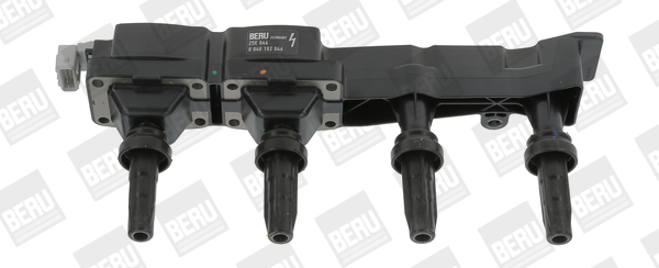 Picture of Ignition Coil - BorgWarner (BERU) - ZSE046