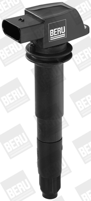 Picture of Ignition Coil - BorgWarner (BERU) - ZSE054