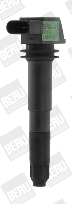 Picture of Ignition Coil - BorgWarner (BERU) - ZSE054