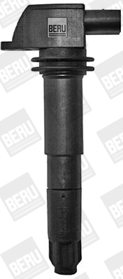 Picture of Ignition Coil - BorgWarner (BERU) - ZSE054