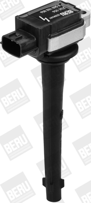 Picture of Ignition Coil - BorgWarner (BERU) - ZSE056