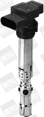 Picture of Ignition Coil - BorgWarner (BERU) - ZSE059