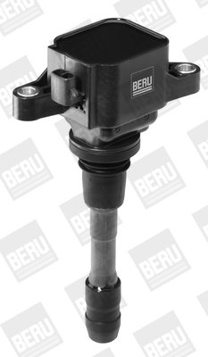 Picture of Ignition Coil - BorgWarner (BERU) - ZSE066