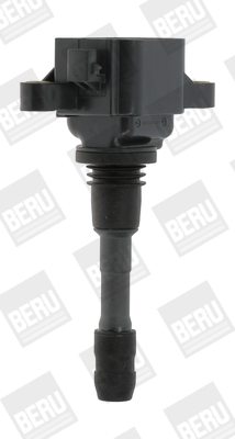 Picture of Ignition Coil - BorgWarner (BERU) - ZSE066