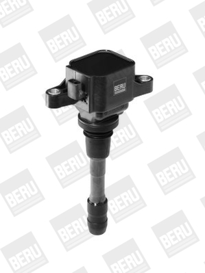 Picture of Ignition Coil - BorgWarner (BERU) - ZSE066