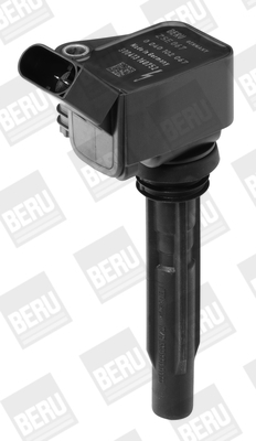Picture of Ignition Coil - BorgWarner (BERU) - ZSE067